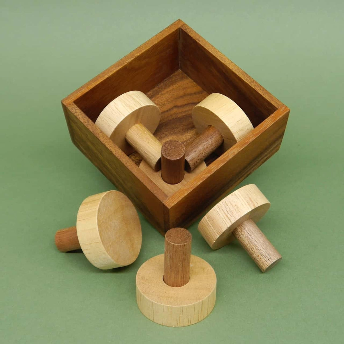 Offene Holzbox mit verstreuten zylindrischen Steckteilen eines Logikspiel-Puzzles auf grünem Untergrund.