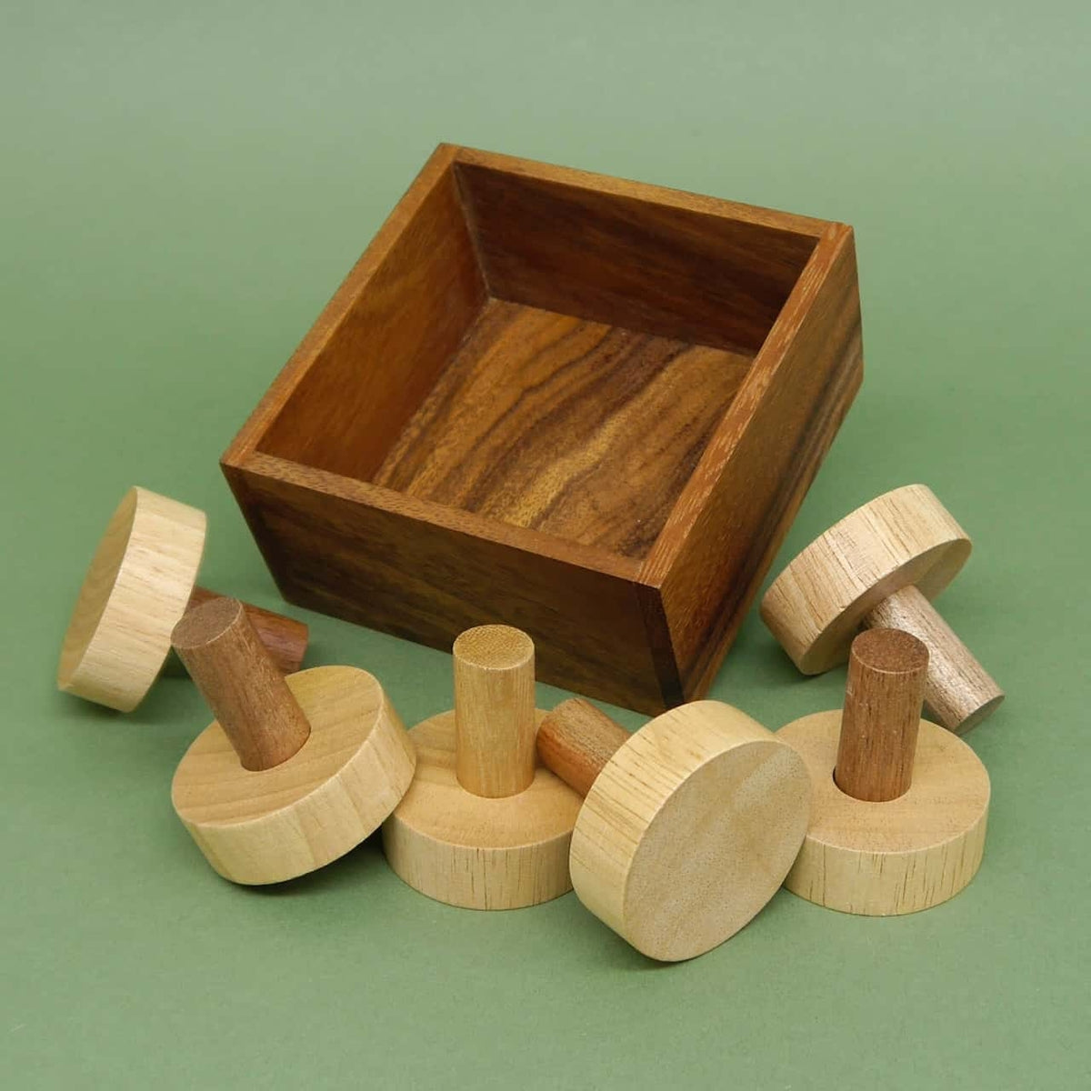 Leere Holzschachtel liegt neben ungeordneten Scheiben-Stift-Elementen eines Denkspiel-Packpuzzles auf grünem Hintergrund.