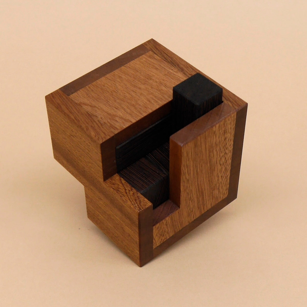 INFINITE - difficult wooden puzzle