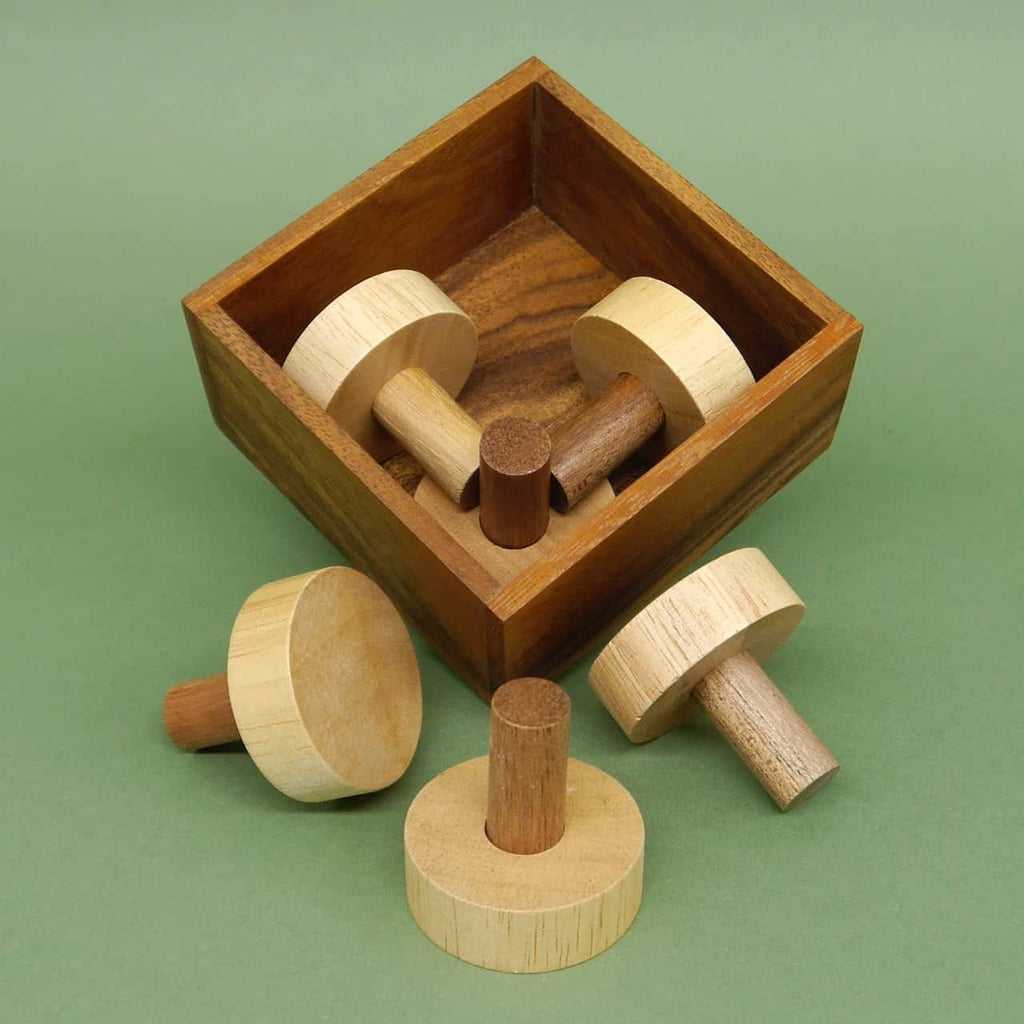 Offene Holzbox mit verstreuten zylindrischen Steckteilen eines Logikspiel-Puzzles auf grünem Untergrund.