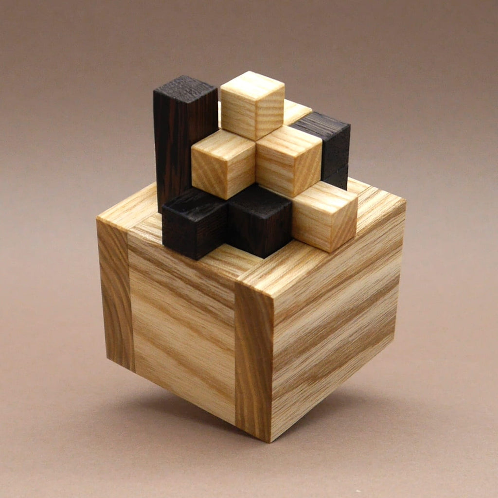 Rätselpuzzle aus Holzklötzen, teilweise in einer Würfelbox gesteckt, kombiniert helle und dunkle Elemente zu einer kniffligen Aufgabe.