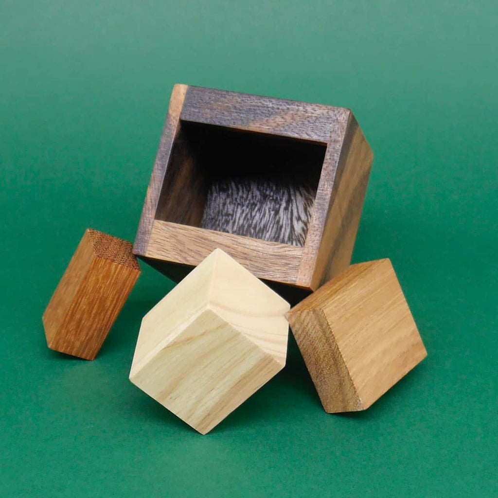 Zerlegtes Packing-Puzzle aus Holz: Eine gekippte Box mit drei verschieden geformten Spielsteinen davor.