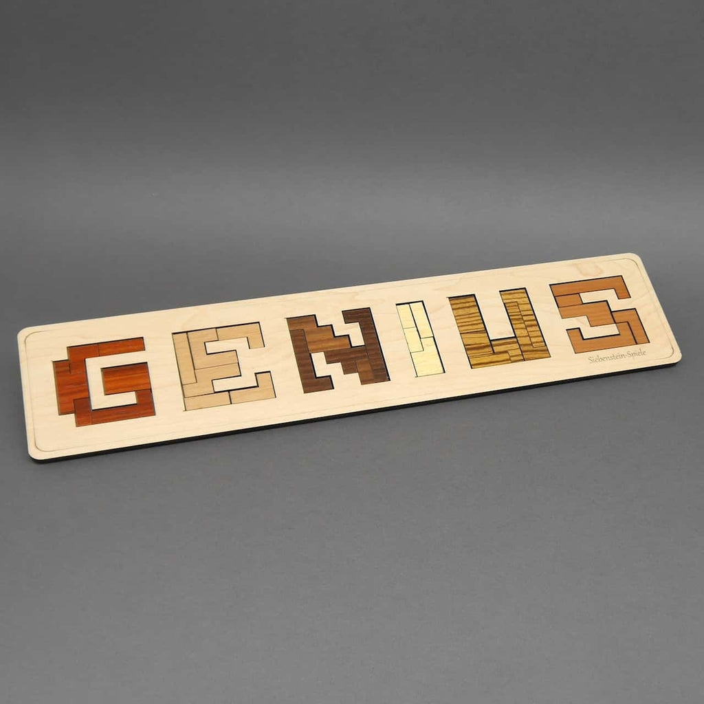 Holzpuzzle mit mehreren bunten, geometrischen Teilen, die in einer rechteckigen Rahmenbox zusammengesteckt werden können.