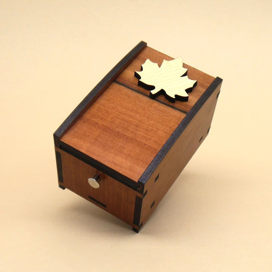 Komplexe Holz-Knobelbox von Radbox, bei der mehrere Ebenen ein 3D-Puzzle bilden.