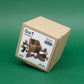 Knobelbox SixT Version 2: Holzpuzzle im Karton mit Produktlabel vor grünem Hintergrund.