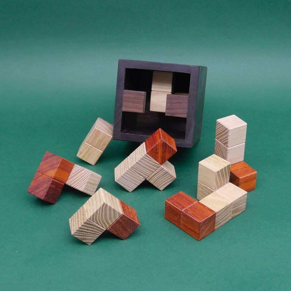 Denkspiel aus mehreren bunten Holzpuzzleteilen vor einem grünen Hintergrund, teilweise in einer schwarzen Box, teilweise davor liegend.