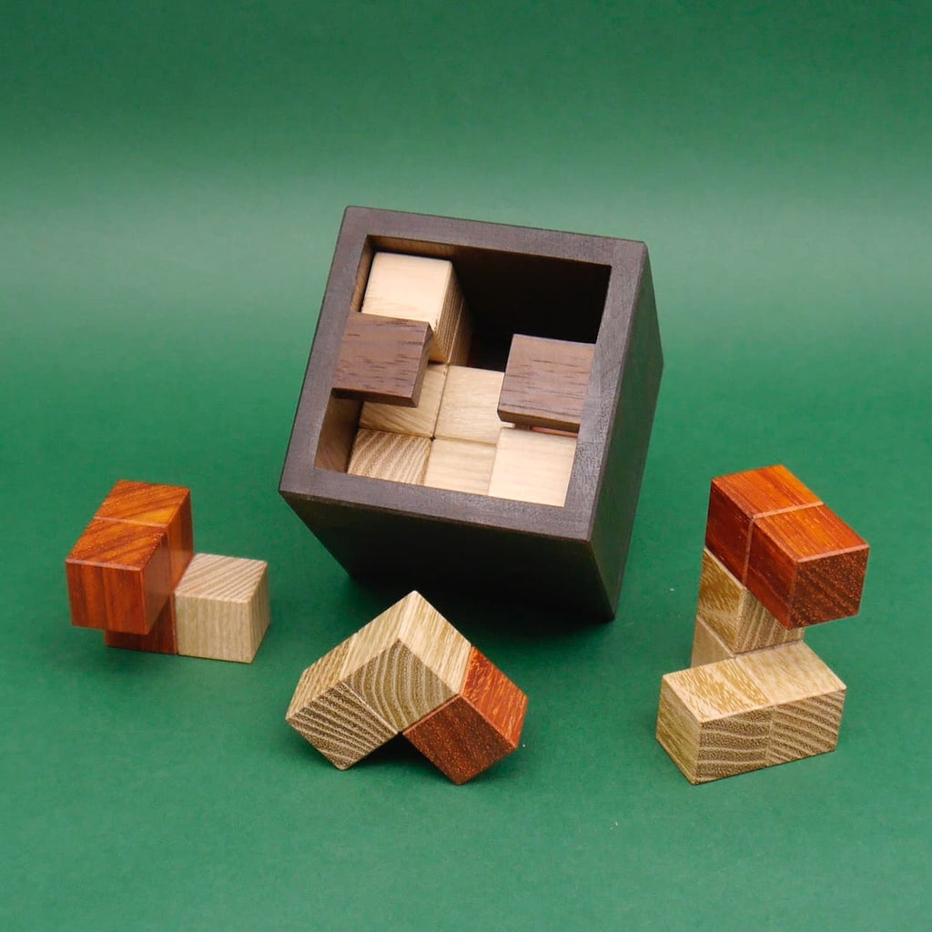 Gehirntraining mit Holzbausteinen: geöffnete schwarze Box mit passgenau eingelegten Holzteilen, weitere Elemente daneben auf grünem Hintergrund.