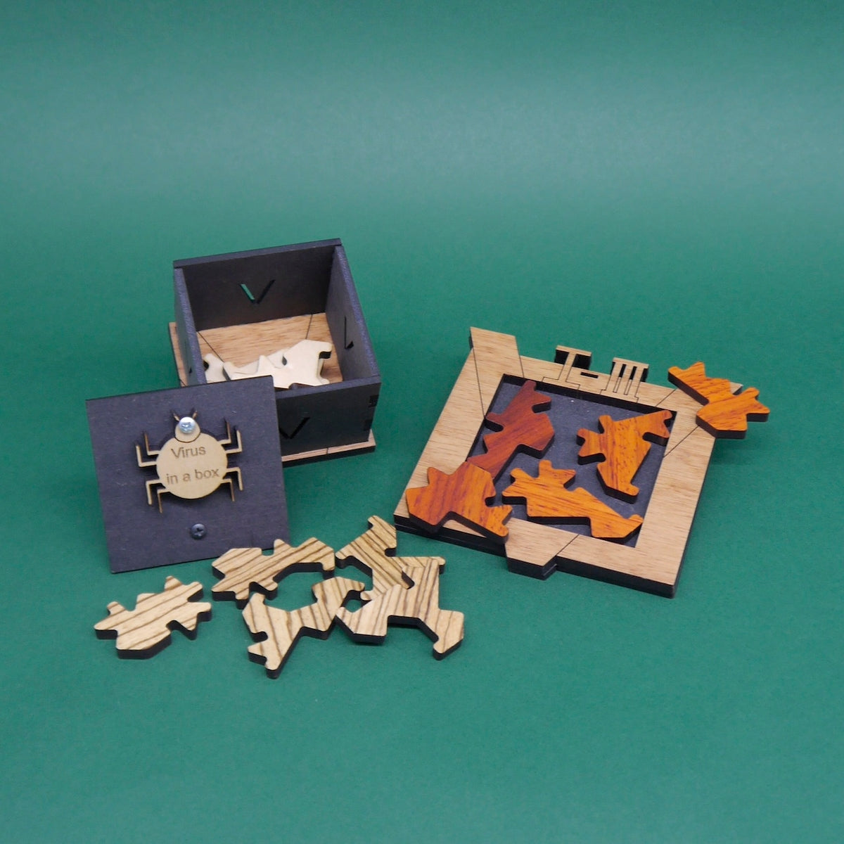Geduldsspiel „Virus in a Box“ mit verschiedenen Puzzleformen in Natur- und Rottönen, teilweise im offenen Rahmen und in einer Box arrangiert.