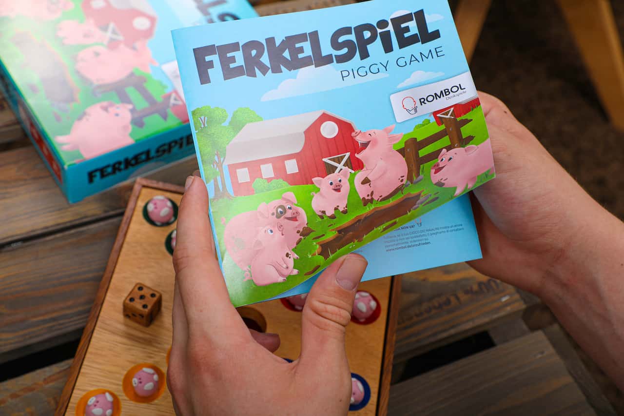 brettspiel-woodengame-tabletop-pig-hole